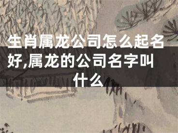 生肖属龙公司怎么起名好,属龙的公司名字叫什么