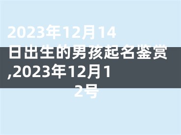 2023年12月14日出生的男孩起名鉴赏,2023年12月12号
