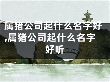 属猪公司起什么名字好,属猪公司起什么名字好听