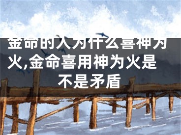 金命的人为什么喜神为火,金命喜用神为火是不是矛盾