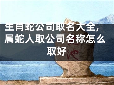 生肖蛇公司取名大全,属蛇人取公司名称怎么取好