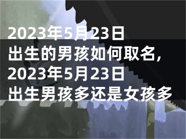 2023年5月23日出生的男孩如何取名,2023年5月23日出生男孩多还是女孩多