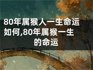 80年属猴人一生命运如何,80年属猴一生的命运