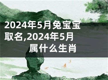 2024年5月兔宝宝取名,2024年5月属什么生肖