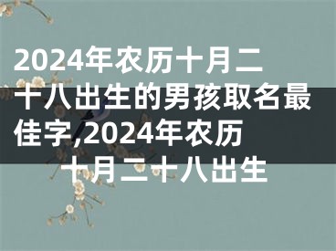 2024年农历十月二十八出生的男孩取名最佳字,2024年农历十月二十八出生