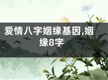 爱情八字姻缘基因,姻缘8字
