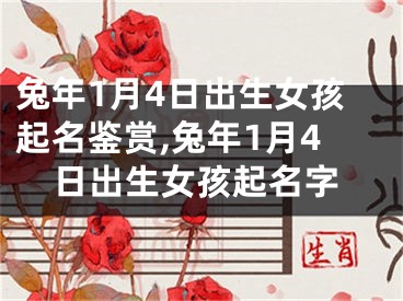 兔年1月4日出生女孩起名鉴赏,兔年1月4日出生女孩起名字
