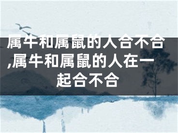 属牛和属鼠的人合不合,属牛和属鼠的人在一起合不合