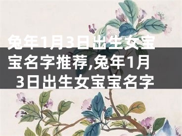 兔年1月3日出生女宝宝名字推荐,兔年1月3日出生女宝宝名字
