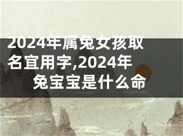 2024年属兔女孩取名宜用字,2024年兔宝宝是什么命