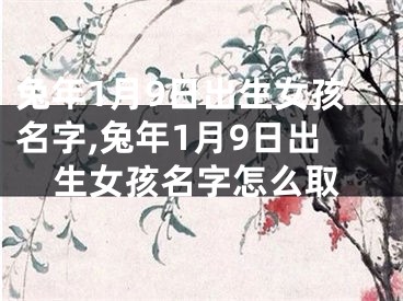 兔年1月9日出生女孩名字,兔年1月9日出生女孩名字怎么取