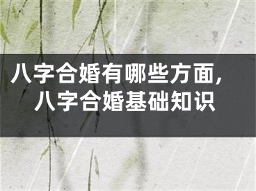 八字合婚有哪些方面,八字合婚基础知识