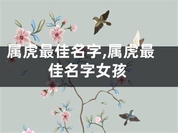 属虎最佳名字,属虎最佳名字女孩