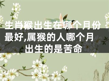 生肖猴出生在哪个月份最好,属猴的人哪个月出生的是苦命