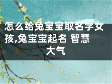 怎么给兔宝宝取名字女孩,兔宝宝起名 智慧大气