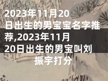 2023年11月20日出生的男宝宝名字推荐,2023年11月20日出生的男宝叫刘振宇打分