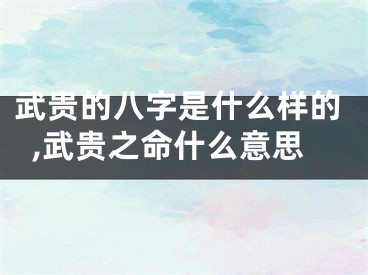 武贵的八字是什么样的,武贵之命什么意思