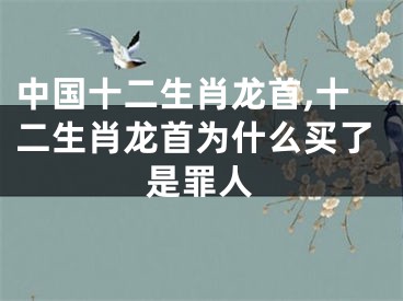 中国十二生肖龙首,十二生肖龙首为什么买了是罪人