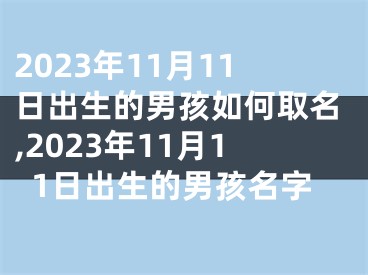2023年11月11日出生的男孩如何取名,2023年11月11日出生的男孩名字