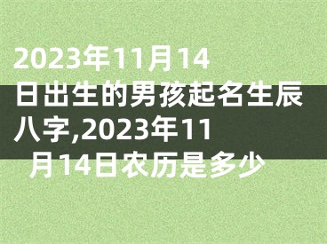 2023年11月14日出生的男孩起名生辰八字,2023年11月14日农历是多少
