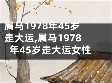 属马1978年45岁走大运,属马1978年45岁走大运女性