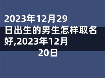 2023年12月29日出生的男生怎样取名好,2023年12月20日