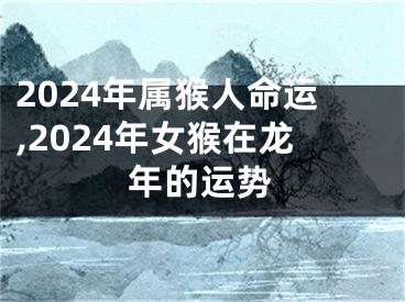 2024年属猴人命运,2024年女猴在龙年的运势