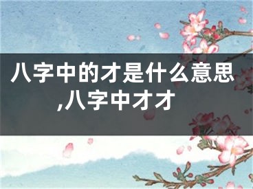 八字中的才是什么意思,八字中才才
