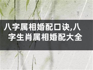 八字属相婚配口诀,八字生肖属相婚配大全