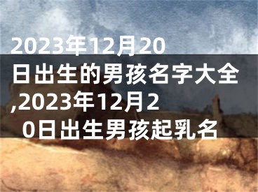 2023年12月20日出生的男孩名字大全,2023年12月20日出生男孩起乳名