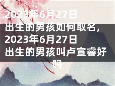 2023年6月27日出生的男孩如何取名,2023年6月27日出生的男孩叫卢宣睿好吗