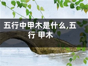 五行中甲木是什么,五行 甲木