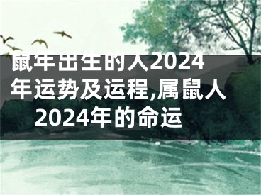 鼠年出生的人2024年运势及运程,属鼠人2024年的命运