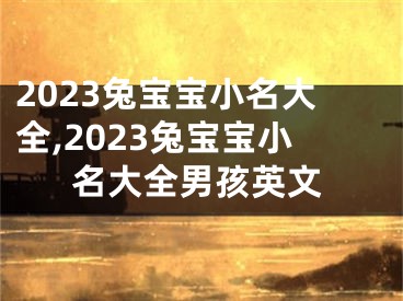 2023兔宝宝小名大全,2023兔宝宝小名大全男孩英文