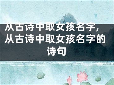 从古诗中取女孩名字,从古诗中取女孩名字的诗句