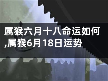 属猴六月十八命运如何,属猴6月18日运势