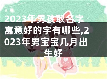 2023年男孩取名字寓意好的字有哪些,2023年男宝宝几月出生好