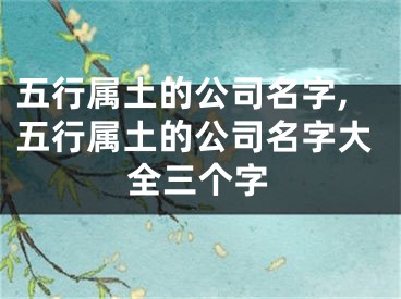 五行属土的公司名字,五行属土的公司名字大全三个字