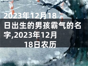 2023年12月18日出生的男孩霸气的名字,2023年12月18日农历