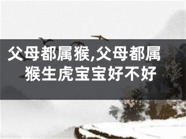 父母都属猴,父母都属猴生虎宝宝好不好