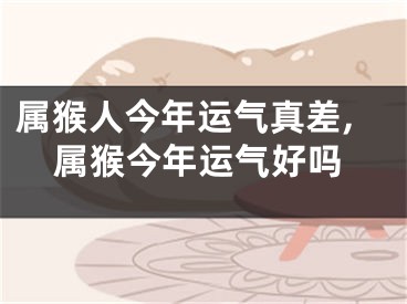 属猴人今年运气真差,属猴今年运气好吗
