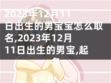 2023年12月11日出生的男宝宝怎么取名,2023年12月11日出生的男宝,起名