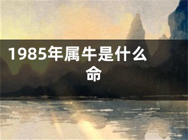1985年属牛是什么命