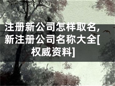 注册新公司怎样取名,新注册公司名称大全[权威资料]