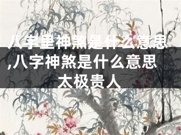 八字里神煞是什么意思,八字神煞是什么意思太极贵人