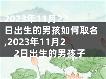 2023年11月22日出生的男孩如何取名,2023年11月22日出生的男孩子