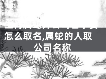 生肖属蛇开公司名字要怎么取名,属蛇的人取公司名称