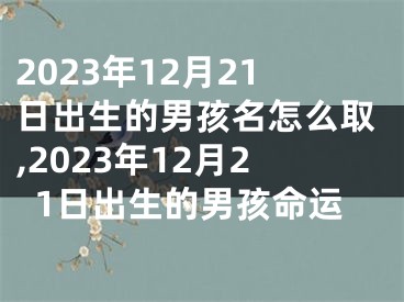 2023年12月21日出生的男孩名怎么取,2023年12月21日出生的男孩命运