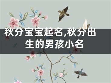 秋分宝宝起名,秋分出生的男孩小名