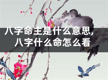 八字命主是什么意思,八字什么命怎么看